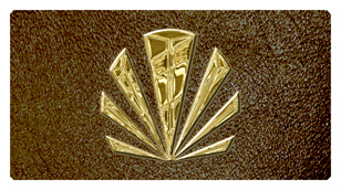 DSC700 602 GD SH BR Gold Sunburst Shimmer Brown Background